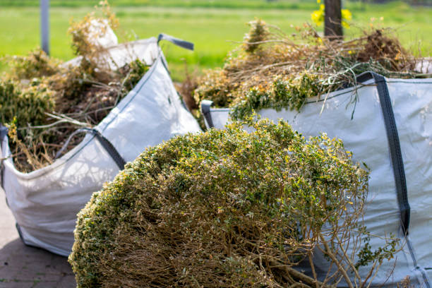 Best Moving and Downsizing Cleanouts  in Mauldin, SC